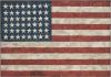Jasper Johns: 'Flag' 1954